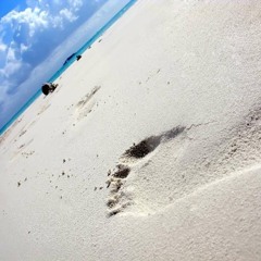 Tonio & C.Ya Soon - Synapsis