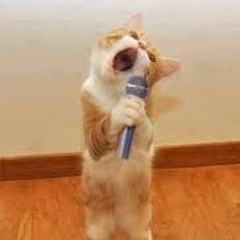 Nana sheme - Permintaan Hati covered by Lina & Bayu