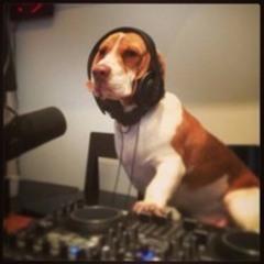 Gypsy Tek (original mix)