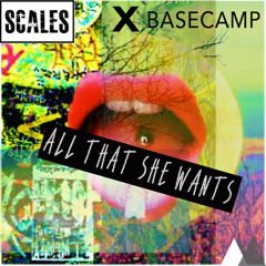 SCALES x Basecamp - All That She Wants