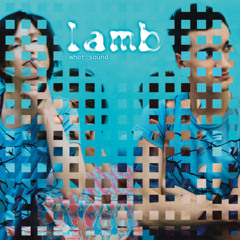Lamb_Heaven (Roel Funcken & Ochre rmx)
