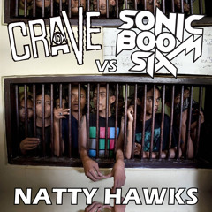 From The Cradle To The Rave vs. Sonic Boom Six - Natty Hawks FREE DOWNLOAD!