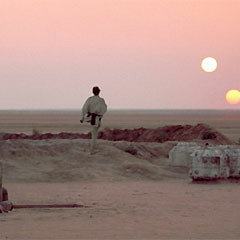 Binary Sunset