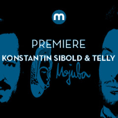 Premiere: Konstantin Sibold & Telly 'I'm In Need'
