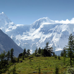 Kargyraa