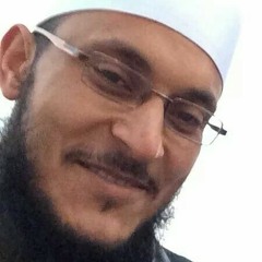 محمود مجاهد