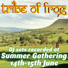 Wicki vs Pieman - Recorded at Summer Gathering June 2014
