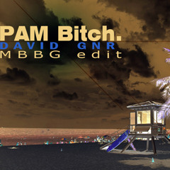 David GNR - PAM Bitch (MBBG Edit)