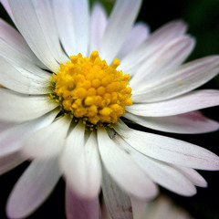 Meditation For A Bad Day (6 Minutes)