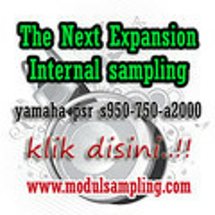 Perdamaian - Selvy 'KDI' Feat Team Modulsampling"jiar"