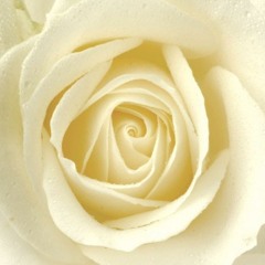 Lament for loved and lost (Mourning Song)