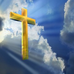 ++Tranim ++
