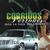 Corridos Alterados - Djchizpas 2014
