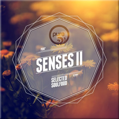 JAN  MOEHLENKAMP - A BRIGHTER DAY // pure* records