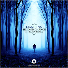 Liam Finn - Second Chance (Mt Eden Remix)
