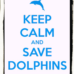 dolPhiNsPeak - sea world
