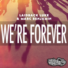 We're Forever Laidback Luke (Chris B Remix)