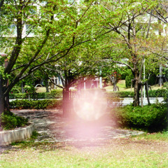 Clover Blossoms Theme Song