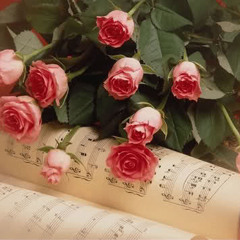 دوباره اردی‌بهشت به دیدنت می‌آیم-سید علی صالحی-دکلمه رضا پیربادیان