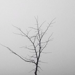 Space Travel (it's time to go home)