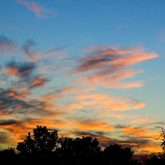 Cold Blue Moments - July 2014
