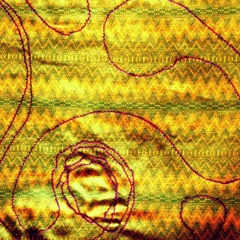 fragmento de una tarde lagunera