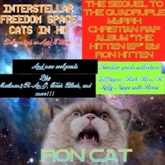 "I Wanna Fuck a Bitch" ft. Nigga