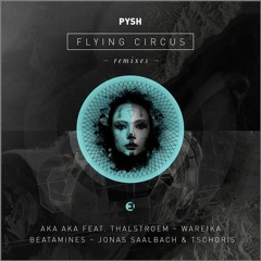 Pysh - Flying Circus (AKA AKA & Thalstroem Remix