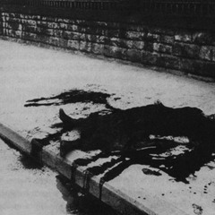 Purity (Demo)