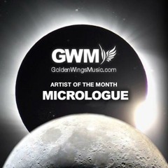 16.06.14 Micrologue For Golden Wings Radio (320 kBits)