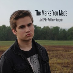 The Marks You Made - Anthony Amorim