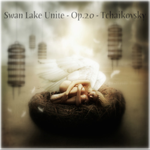 Swan Lake - Danse Hongroise