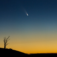 Always Wondering - khömett