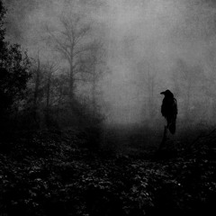 J Arritt x Cortez - Wig Split