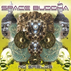 Space Buddha - Magnet Man 2008