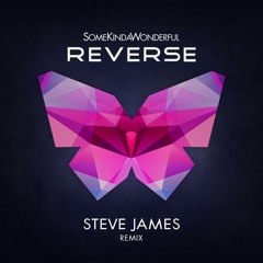 Reverse (Steve James Remix)