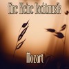 Eine Kleine Nachtmusik - Allegro