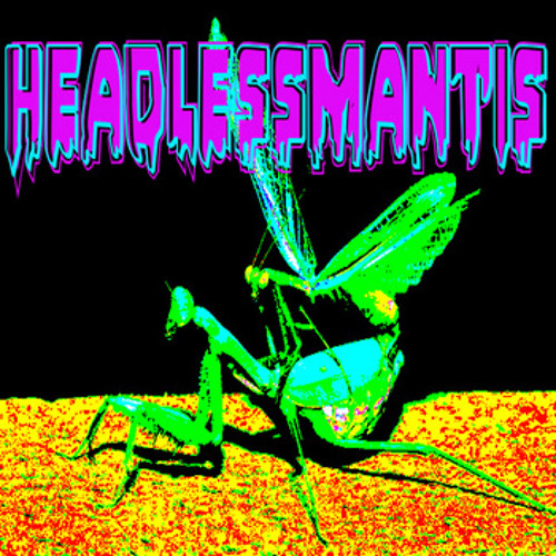 HEADLESSMANTIS- BLECH