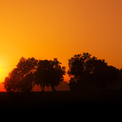 Fading Light