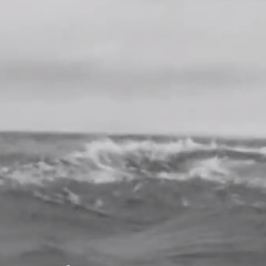 moby - porcelain (evil vegan edit)