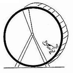Rat Wheel