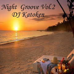 Night Groove Vol.2