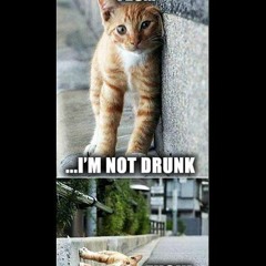 KARMA  RAGE -WAR PAINT VS RAGE