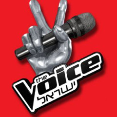 ישראל 3 The Voice - עמית עמוס - ביום שמש יפה