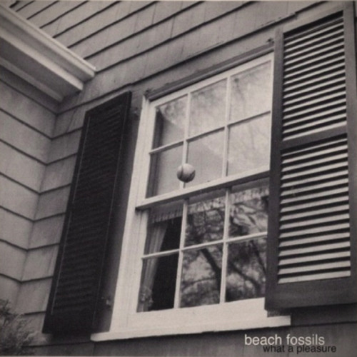 Beach Fossils - What a Pleasure
