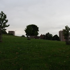 Crisis Class Dynamics