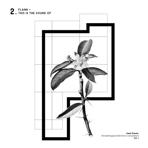 Flann - This Is The Sound Of