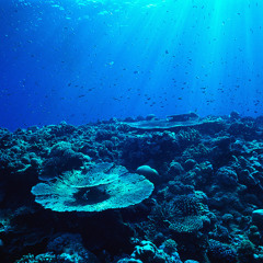 Deep Tech Selection June 2014