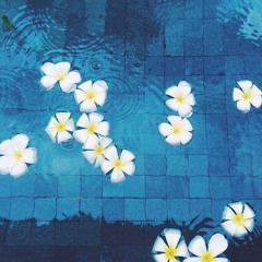 الدّينُ يسرٌ