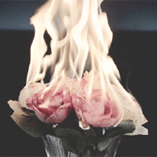 Burning Roses (prod. Josh Hey)
